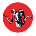 FWO 495 Engineer Group logo